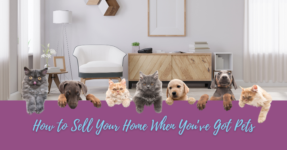 How to Sell Your Home When You’ve Got Pets