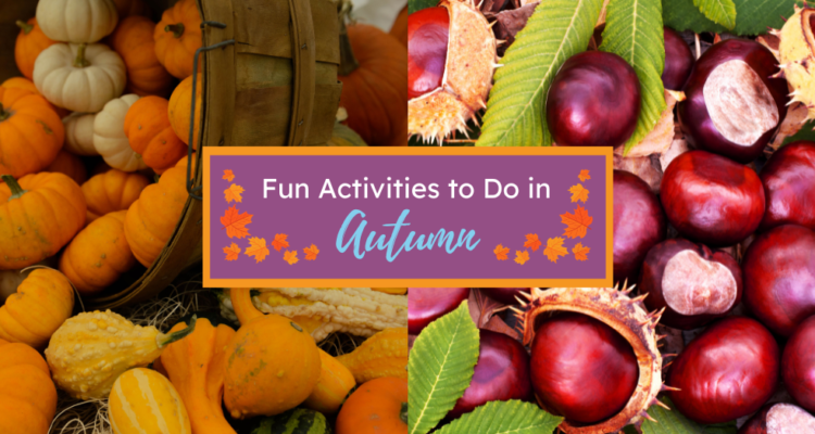 Fun Activities to Do in Autumn