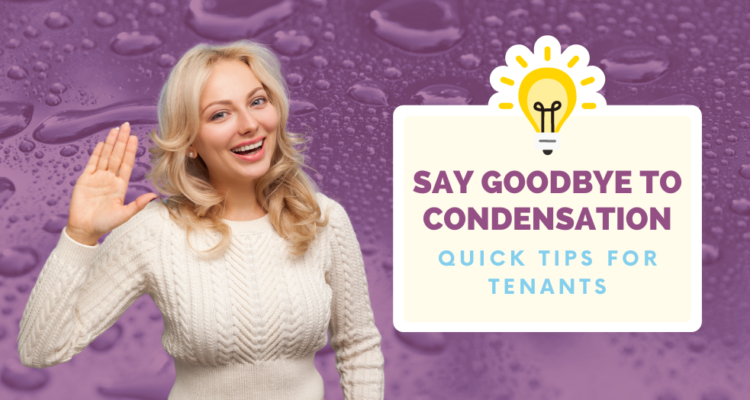 Condensation Quick Tips for Tenants